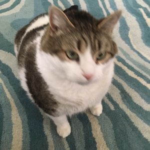 Meet your Posher, Jeanne